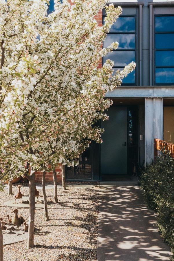 גיסבורן Mews Cottages מראה חיצוני תמונה
