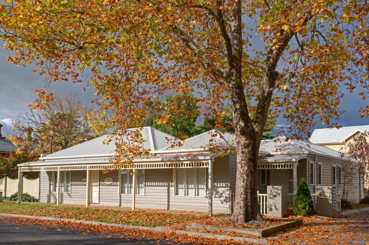גיסבורן Mews Cottages מראה חיצוני תמונה